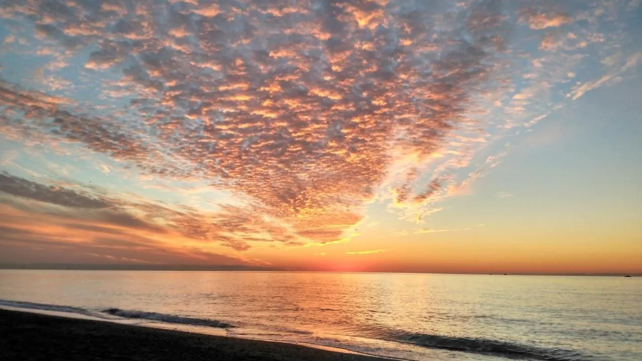 Pepe Beach Vista Al Mar Apartment Estepona contacts